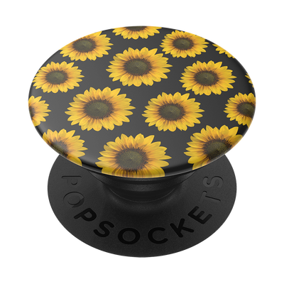 Secondary image for hover Sunflower Patch