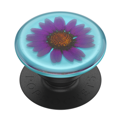 Secondary image for hover Pressed Flower Purple Daisy