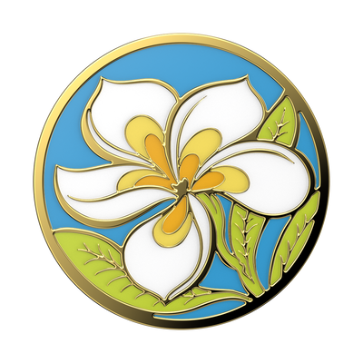 Secondary image for hover Plumeria — PopTop