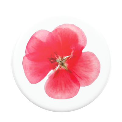 Secondary image for hover PlantCore Red Flower